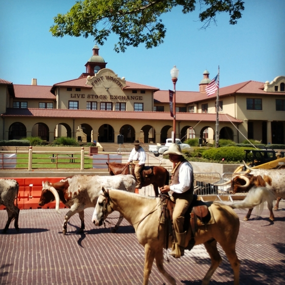 Meet your Posher, Leigh Anne - Picture 6 of 6